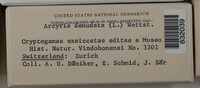 Image Associated With the Occurrence